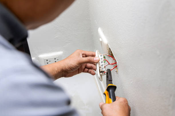 Best Electric Panel Repair  in Cottage City, MD